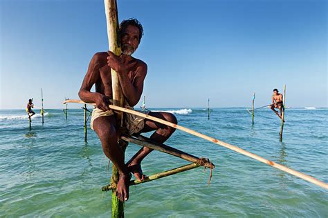 The Stilt Fishermen At Work Sri Lanka Photograph By Hadynyah Pixels