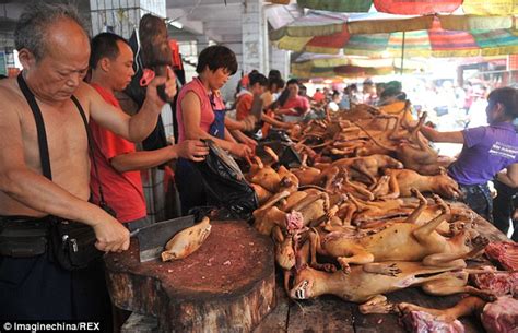 China Under Fire For Celebrating Summer Solstice With Dog Eating Event