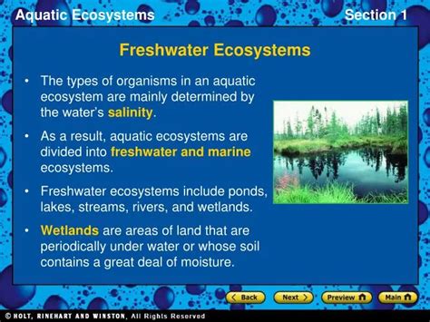 Ppt Freshwater Ecosystems Powerpoint Presentation Free Download Id