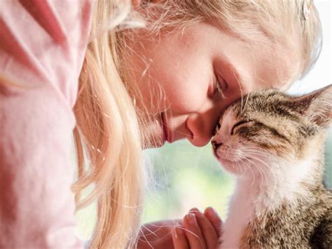 Cat Love Bites 5 Reasons Why They Do It And How To Respond