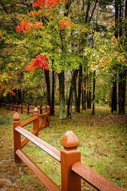 Autumn Fence Flower Garden Lady Grey Beautiful Photo