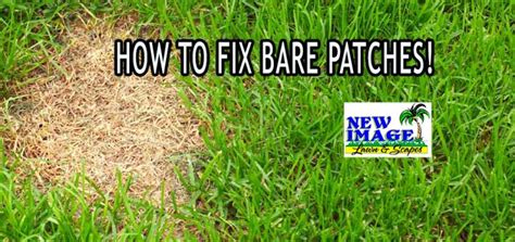 How To Fix Bare Patches New Image Lawn And Scapes