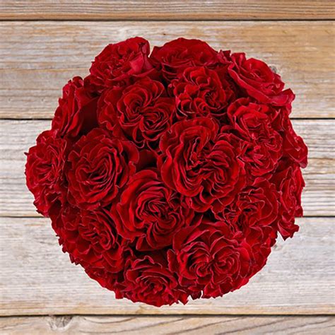 Bouquet Of Ruby Red Tea Roses The Bouqs Co