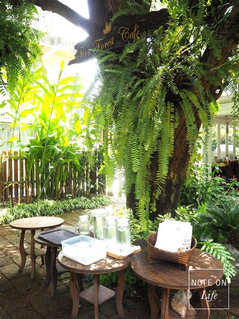 Bake the pudding about 30 minutes, or until it is well puffed. Hidden Forest Cafe in Chiangmai - Fern Forest Cafe REVIEW ...