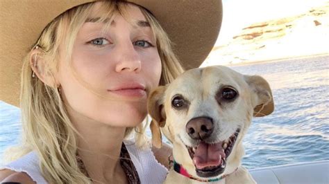 Miley Cyrus Pets See Photos Of Her Dogs Cats And Pigs