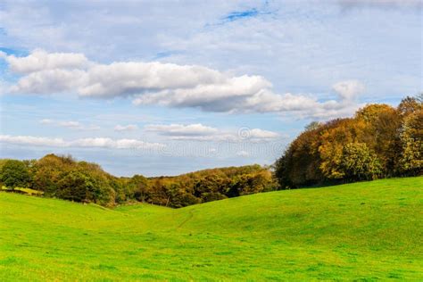 English Green Meadow On A Sunny Day A Typical Rural Landscape O Stock
