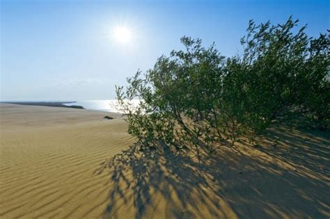 6 The Curonian Spit 9 Beautiful Natural Wonders Of