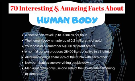 70 Interesting Facts About The Human Body Human Body