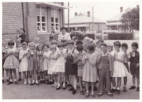 School Milk Programme One Of Our Most Enduring Memories Adelaide