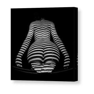 0043 DJA BW Zebra Woman Striped Girl Topographic Abstract Sensual Body