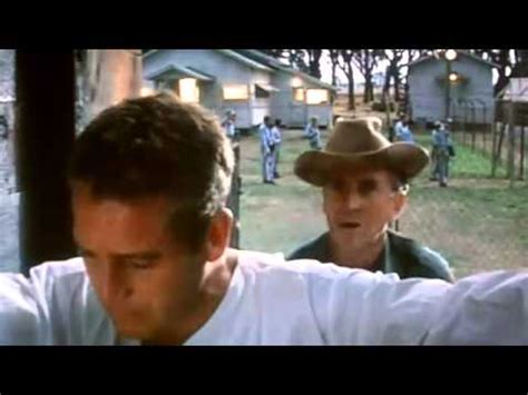 What we've got here is (a) failure to communicate. Cool Hand Luke - 4decaca Movie Quotes - YouTube