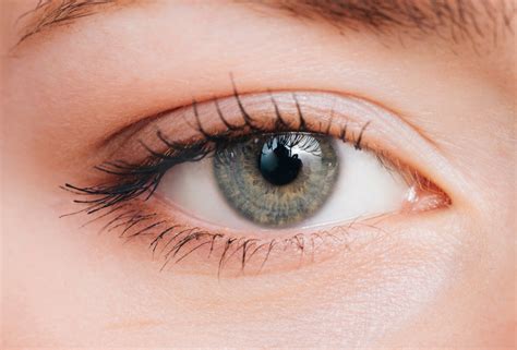 Experto El Viento Es Fuerte Huella Dactilar Tonalidades De Ojos Azules