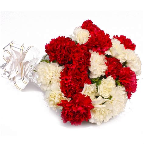 Red Rose White Carnation Bouquet Flowers