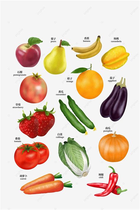 Fruits And Vegetable Clipart Vector Fruit And Vegetable Fruit
