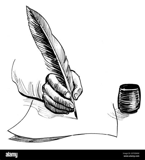 Hand Writing With A Quill Pen Ink Black And White Drawing Stock Photo