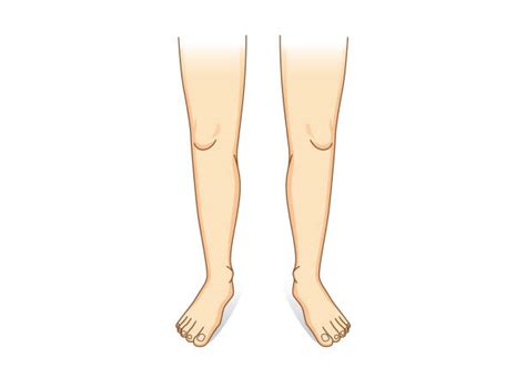 Leg Illustrations Royalty Free Vector Graphics And Clip Art Istock