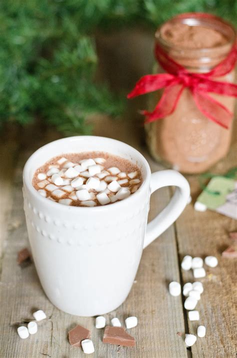 Your hershey's cocoa is waiting patiently in the pantry. DIY Hot Chocolate Mix (without dry milk powder!) | Amy Kay ...