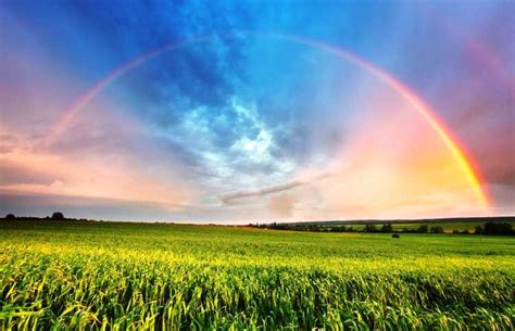 According to poems, upon death, the pet finds itself in a lush,. Crossing the Rainbow Bridge | Guideposts