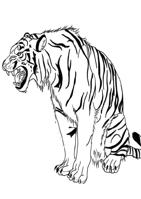 Tigre Para Colorear Dibujosparacolorear Eu