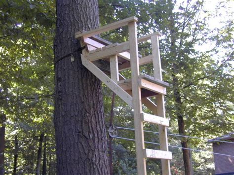 Wooden Ladder Tree Stands Plans Portal Guns Pinterest