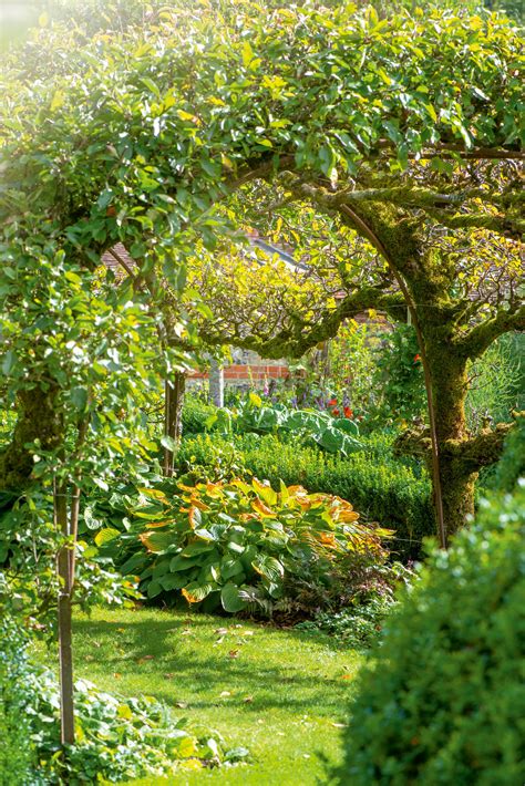The Ultimate Guide To Planting Your Own Orchard Getting It Right Is