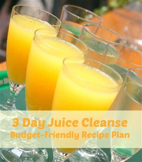 In the days leading up to your cleanse, eat a lot of apples and drink apple juice to prepare your liver. Complete 3 Day Juice Cleanse Recipes