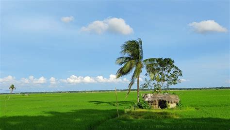 50 Free Bangladesh Village And Bangladesh Images Pixabay