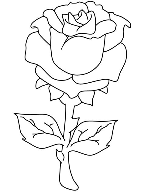 This clipart image is transparent backgroud and png format. Rose Valentines Coloring Pages & Coloring Book