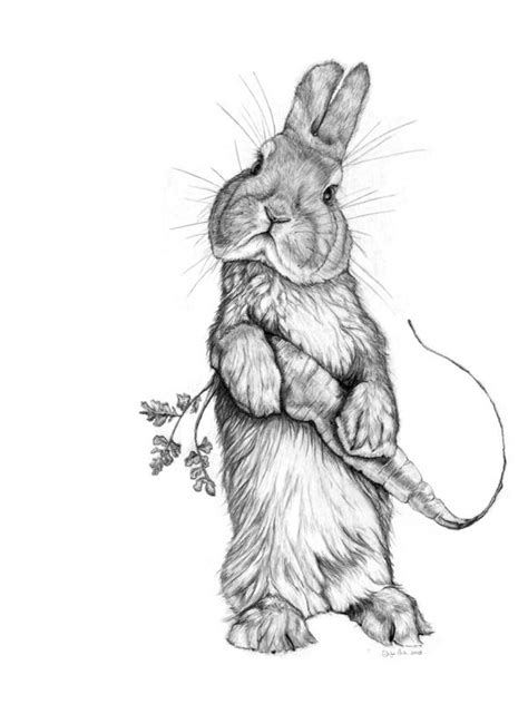 Cute Rabbit Sketch For Easter