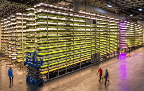Innovative Vertical Farming Companies To Watch 2022