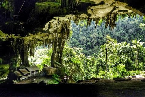 Budget Adventures In Borneo The Caves Of Niah National Park Sarawak