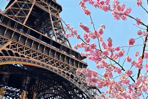 8 Places In Europe To See The Best Cherry Blossoms Globonaut