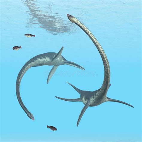 Plesiosaur Elasmosaurus Stock Illustration Illustration Of Giant