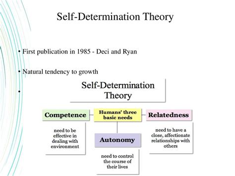 Self Determination Theory презентация онлайн