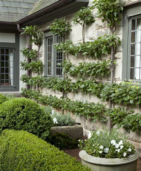 Herb gardens belong close to where the herbs will be used. Pin by Lori Sanchez on Landscaping | Herb garden design, Formal garden design, Formal gardens