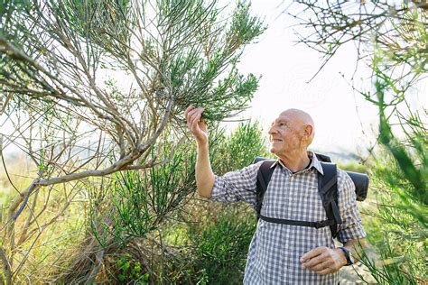 Hiker Senior Man Enjoying On A Mountain In A Sunny Day Del Colaborador De Stocksy