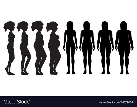 A Set Of Woman Body Silhouette Royalty Free Vector Image