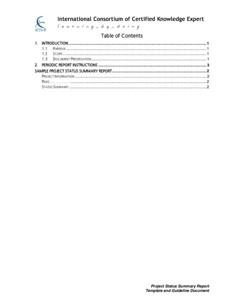 Project Status Summary Report Template And Guideline Document Free Download