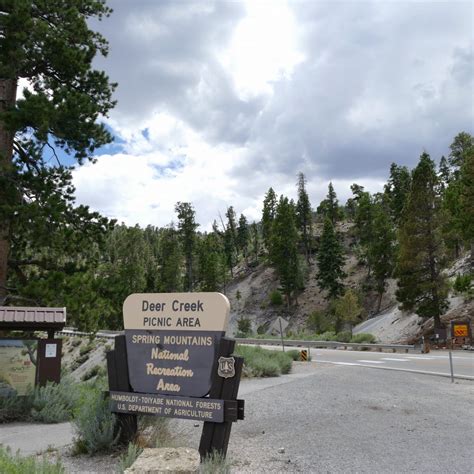 Campgrounds And Picnic Sites Go Mt Charleston Las Vegas Nv