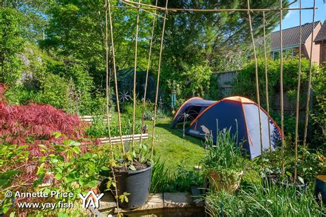 Garden Camping A Wonderful Escape In Your Own Backyard