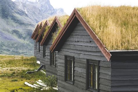 Traditional Turf Houses From Norway Featuring Roof Green And Grass