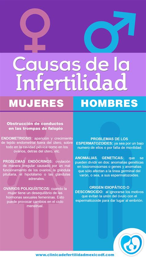 Las 10 Principales Causas De La Infertilidad En La Mujer Kulturaupice