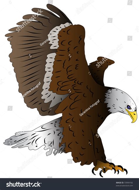 Illustrated Bird An Eagle In Landing Stock Vector Illustration
