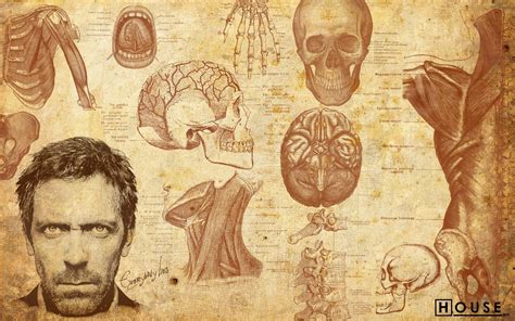 Human Anatomy Wallpapers Wallpaper Cave