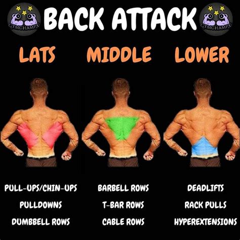 Best Muscle Building Back Exercises Are You Ready To Grow