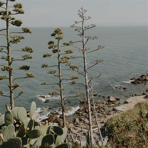 futuro e sviluppo per vasto