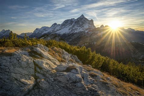 Foto De Stock Gratuita Sobre Alto Amanecer Arboles