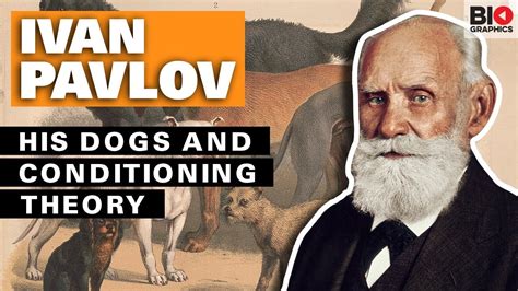 Ivan Pavlov His Dogs And Conditioning Theory Youtube