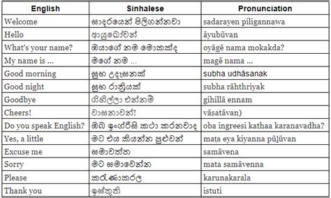 Online free ai english to sinhala translator powered by google, microsoft, ibm, naver, yandex and baidu. Sri Lanka: Learn More About Sinhalese | Listen & Learn