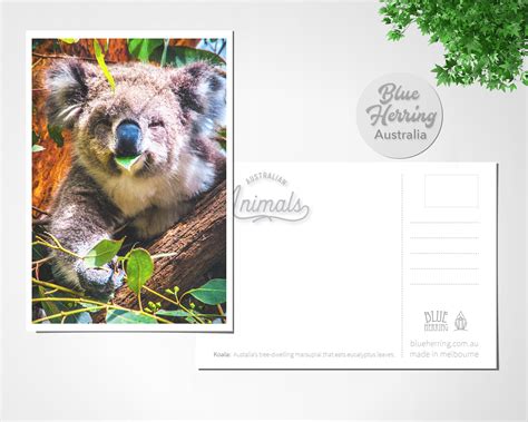 Australia Postcard Six Pack Set Of 6 Australia Travel Australian